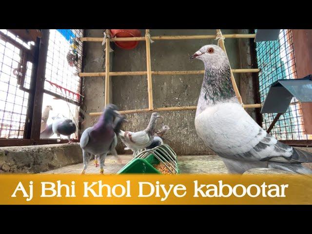 Aj Fir khole kabootar | X Fighter Birds