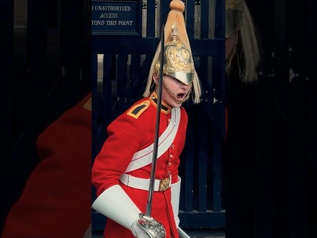 ROYAL GUARD HAS HAD ENOUGH! POLICE STEPS IN! | Horse Guards, Royal guard, Kings Guard, Horse, London