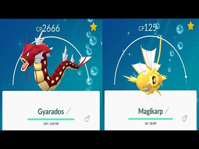 Evolving Shiny Magikarp to Red Gyarados +10 Eevee Evolution & Gen 2 9x5km Egg in Pokemon GO