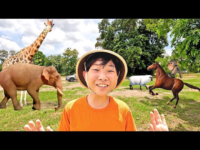 Yejun Drive Thru Safari Animal Zoo for Kids Wild Adventure