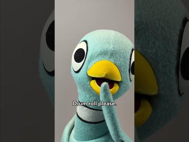 Would You Like To See The New Cover of The Pigeon Book!?