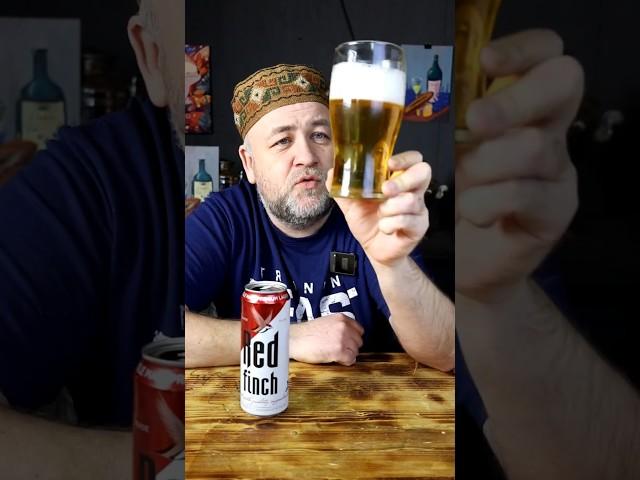 Пиво Red Finch импортозамещение от пивоварни Эфес  #доброслав13 #пиво #craftbeerreview #shorts