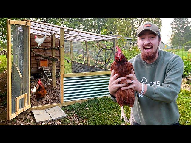 FARMER Builds DREAM Chicken Coop Run And PLAYGROUND