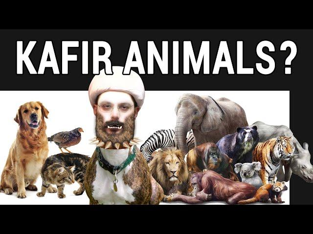 Khabees says there are Kafir animals