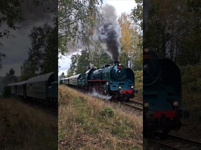 486.007 "Zelený Anton" pełną parą do Ebersbach #train  #486007 #luzickehory #rumburk #csd #parnivlak