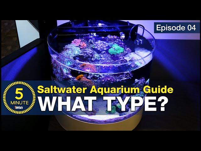 Get past the debate. Sump, Hang-on or AIO (all in one) Which type of aquarium should you choose?