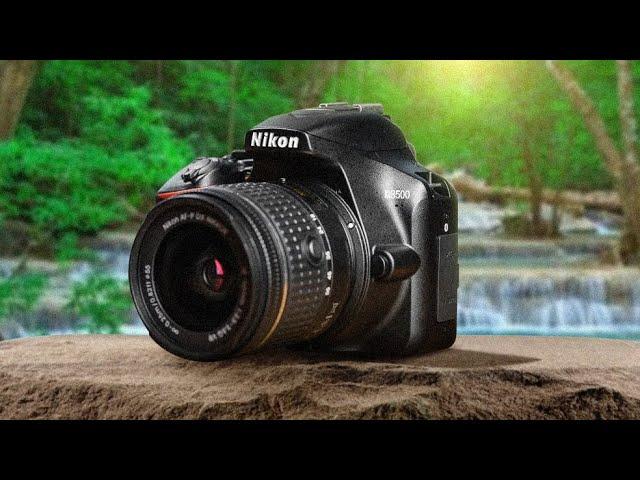 Best Budget Nikon Cameras in 2020