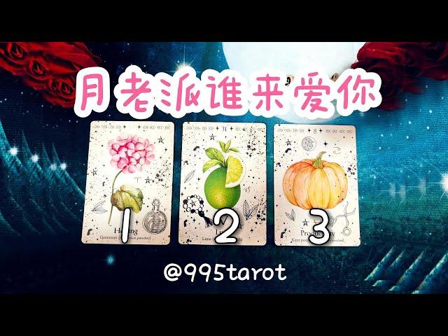 月老派誰來愛你？會是他嗎，出現了没？ |曖昧|愛情|戀愛|桃花|塔羅占卜|