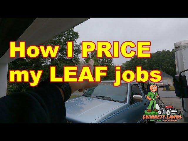 How I PRICE & approach leaf cleanup jobs