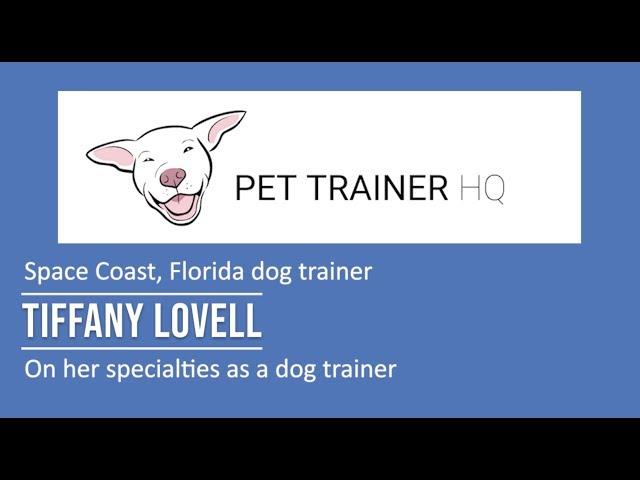 Florida Dog Trainer Tiffany Lovell discusses her specialty areas as a dog trainer - Pet Trainer HQ