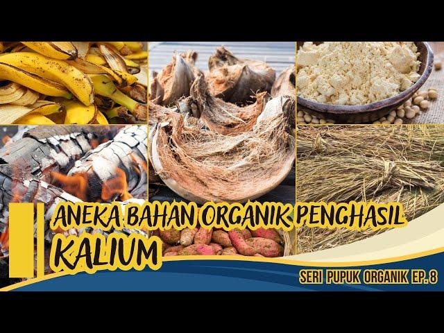 High Potassium Producing Organic Materials Are All Around Us!!! | Organic Fertilizer Ep. 8