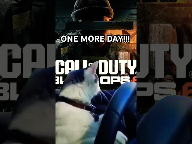 WHOSE READY FOR BLACK OPS 6???? #bo6 #callofduty #dropthegamealready #otmtv #catmemes