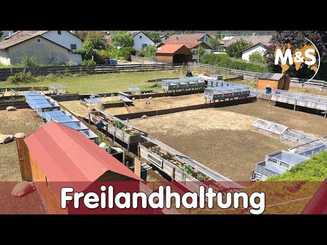 Freilandhaltung EXTREM | Schildkröten draußen halten | Reptil TV