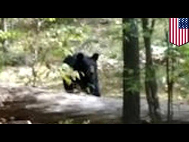 Bear attacks and kills hiker: Darsh Patel photographed his killer moments before death