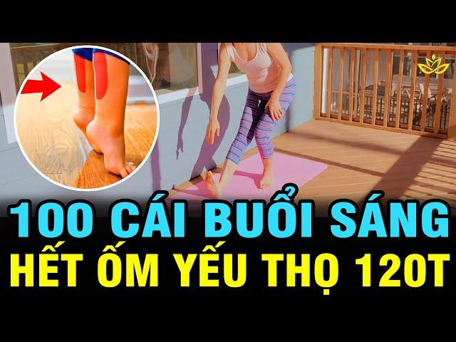 BÀI DƯỠNG SINH MỚI: SÁNG TỐI 100 CÁI ỐM YẾU CỠ NÀO CŨNG HẾT: ĂN NGON NGỦ YÊN KHỎE THỌ QUA 100T