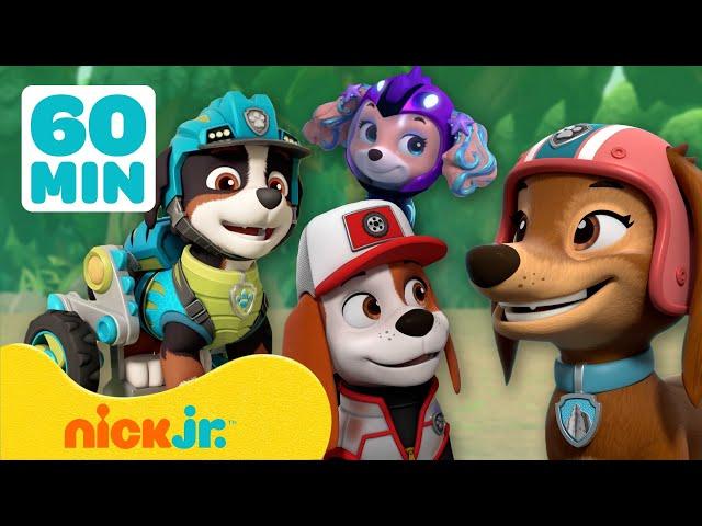 Paw Patrol - La Squadra dei Cuccioli | Incontra i NUOVI membri della PAW Patrol! | Nick Jr. Italia