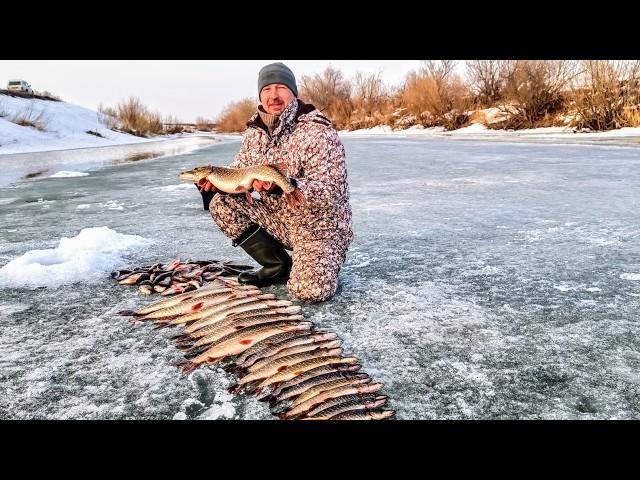 DAMN, HOW MANY FISH CLIMB OUT OF THE HOLES DID NOT HAVE TIME TO CARRY THE PIKE. Fishing 2025
