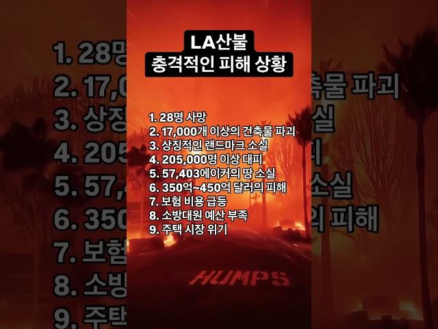 LA산불 충격적인 피해 상황 #la산불