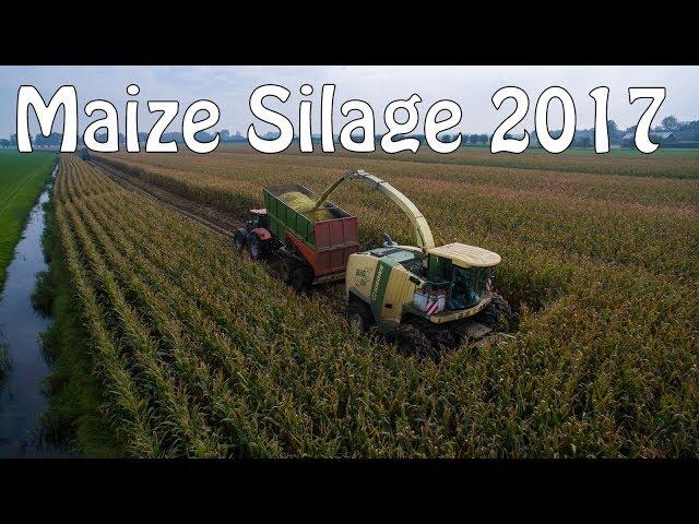 Maize Silage Harvest 2017