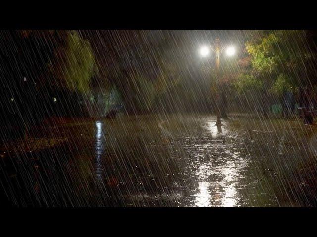 Relieve Stress by Listening to Rain Sounds on a Night Walk. White Noise to Improve Concentration