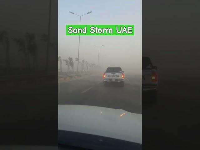#sandstorm #uae #nationalday #desert