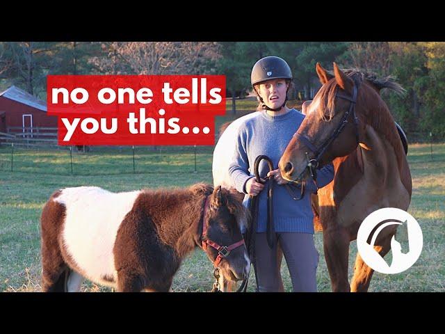 What It’s REALLY Like Keeping Horses At Home