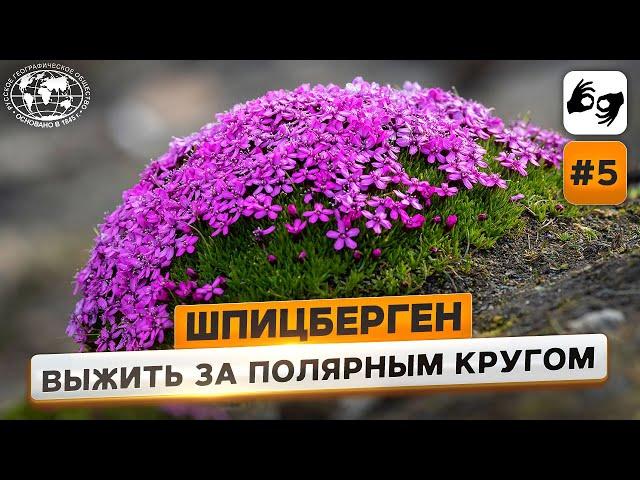 Шпицберген: природа острова | @Русское географическое общество