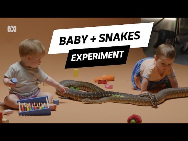 The Surprising Reason Babies Are NOT Afraid of Snakes | Secret Science