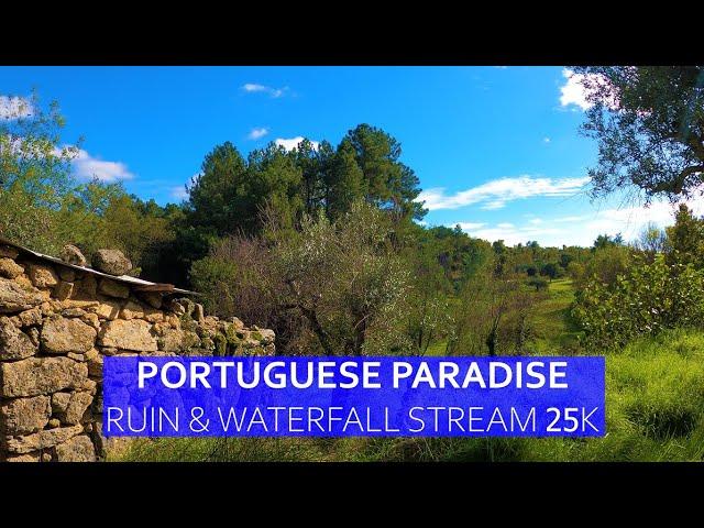 PORTUGUESE PARADISE - WATERFALL, STREAMS, OLIVE TREES & BEAUTIFUL VIEWS, 25,000 EUROS CHEAP PROPERTY