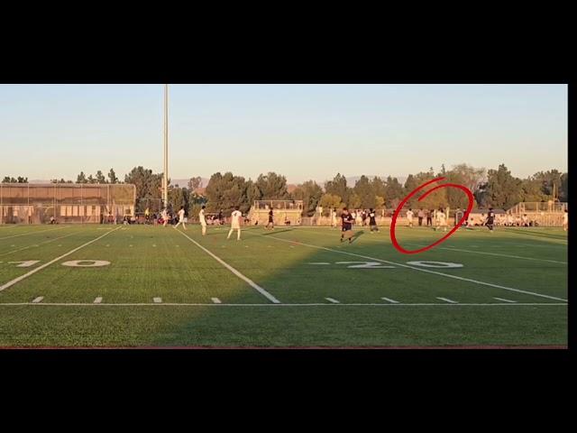 Sebastian Torres highlight tape