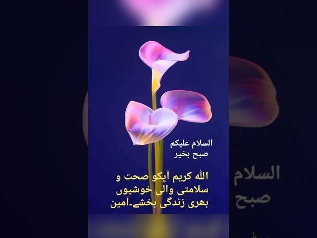 naat e Rasool by shahwar Hussain