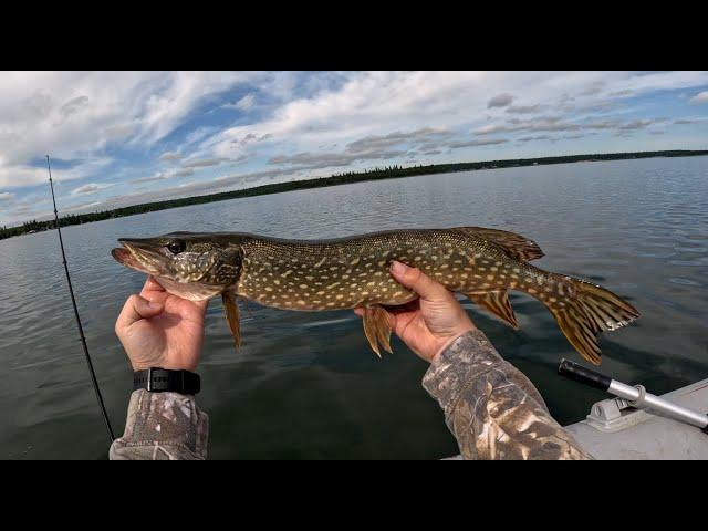 How NOT to set the Hook - Emma Lake Mashup