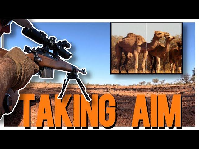 Outback Shooting Extravaganza: Part 1 - Camels Versus the PARD DS35 70RF