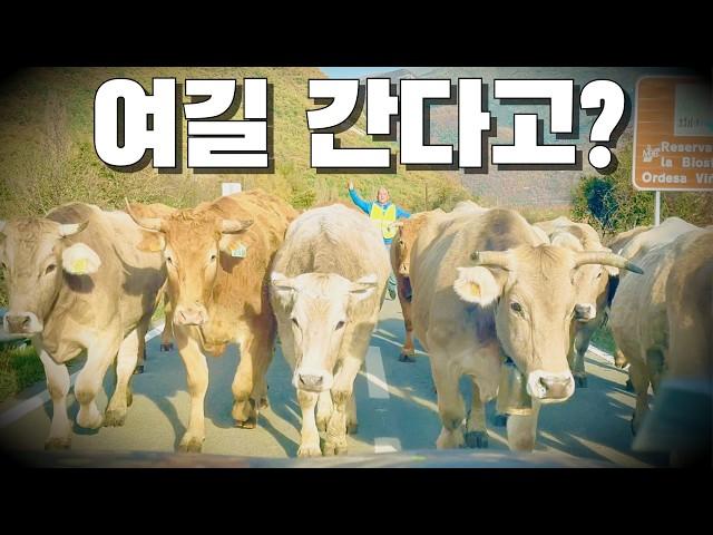 ⭐️50개국 넘게 세계여행했지만 여길 못가봤네⁉️여행유튜버ㅣ부부여행유튜버ㅣ유럽여행ㅣ부부세계여행ㅣ스페인순례길ㅣ피레네ㅣ텐트밖은유럽ㅣ파이어족