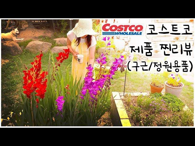 #75. Planting Spring Bulbs! | Costco Garden Supplies Recommendations Review | Gladiolus Planting