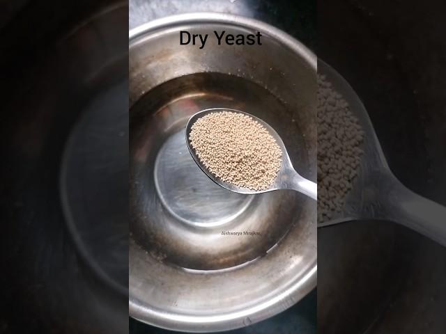 how to activate dry yeast? #pizza #shorts #yeastmaking #yeastbread #yeastdough #short #youtube #yt