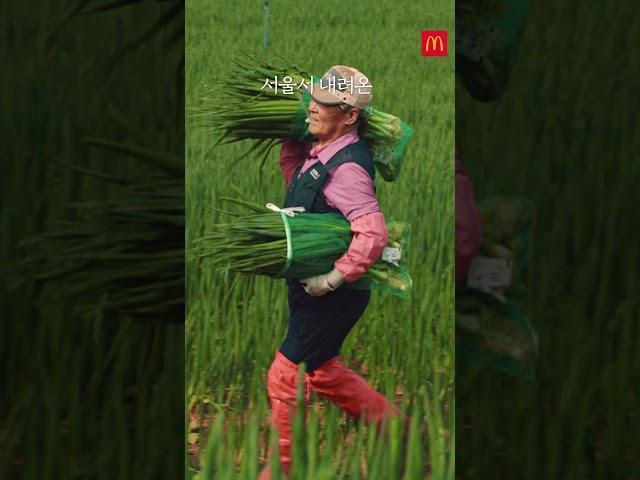 [맥도날드] 50톤이 넘는 진도 대파를 버거에?