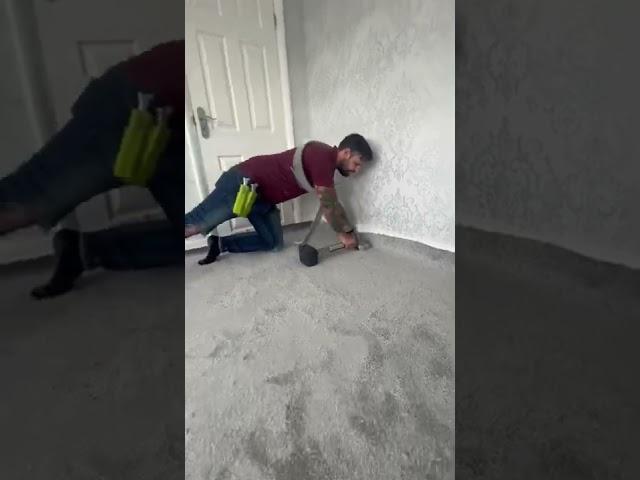 HOW TO STRETCH A CARPET OUT PERFECTLY FLAT #carpet #carpetinstallation #homeimprovement #diy #shorts