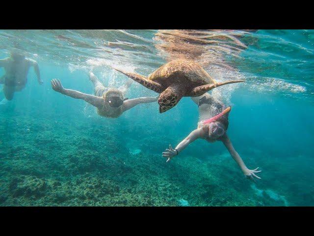 AMAZING holiday in AMAZING VIEW, Thoddoo island, MALDIVES