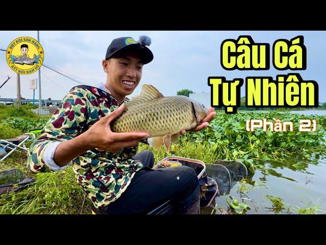 Hành Trình Đi Câu Cá Tự Nhiên (phần 2)