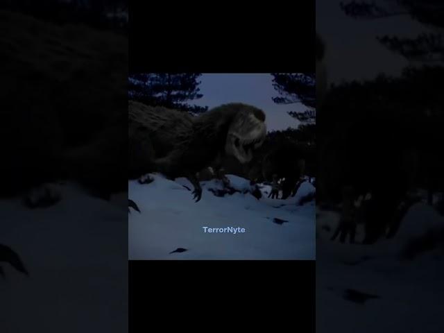 Yutyrannus Huali VS Albertosaurus Sarcophagus #Albertosaurus #Yutyrannus #Debate #Shorts