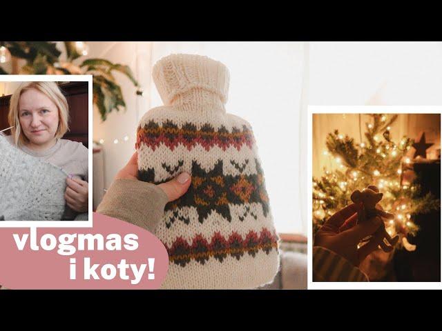 dziergany vlogmas - one and only + dużo kotów