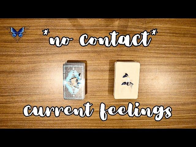 *NO CONTACT* THEIR CURRENT FEELINGS FOR YOU ️‍️‍🩹 Timeless Tarot Reading 