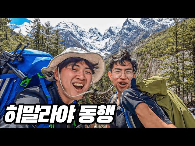 히말라야 3300m 등반 중 드디어 동행이 생겼다 네팔 트레킹 #7