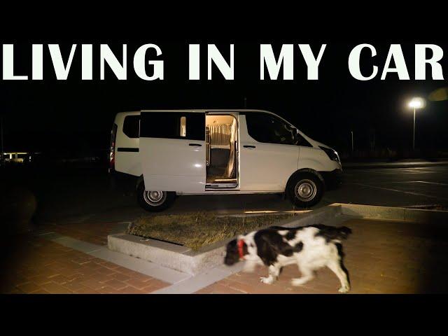 SOLO VAN CAMPING WITH MY DOG | CAR CAMP