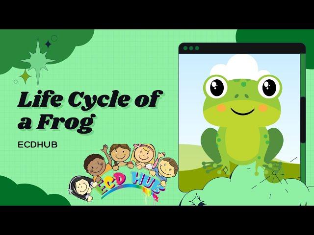 Life Cycle Of A Frog By ECDHUB