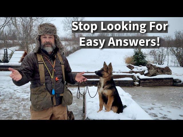 Walk Your Dog Everyday | Stop Looking For Excuses and Easy Answers