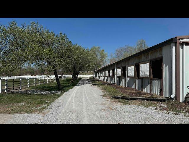 Full tour of Prince Julius (and Cosmo’s) stables #friesianhorse #friesian #horsestable #farmcat