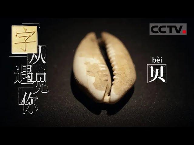 《“字”从遇见你》古人“买买买”时带什么？凡是和钱有关的字都带着“贝”？【CCTV纪录】