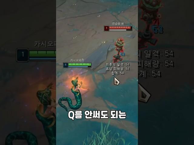 Q 안쓰는 카시오페아가 된다구?~